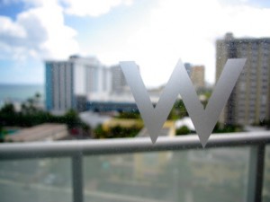 w-logo-window